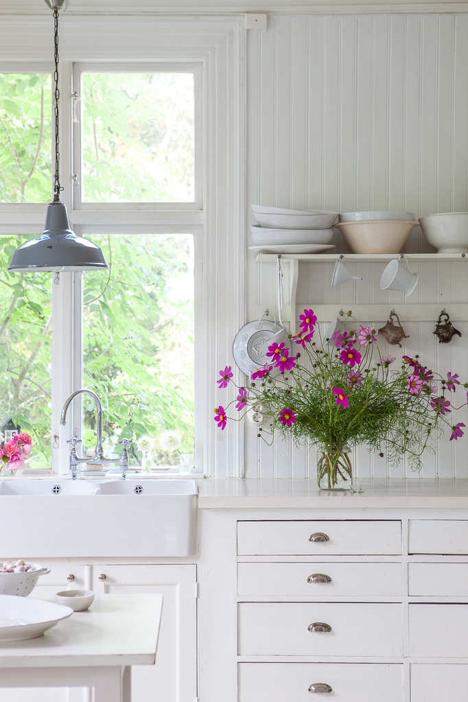 Odling-av-sommarblommor Rosenskära rosa vit vas kök odla blommor