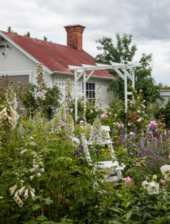 Cottage garden trädgård