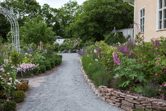 Romantisk rosenträdgård med perenner, mormorsväxter grusgångar och portaler
