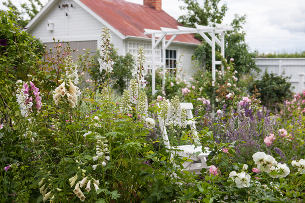 Kom på Trädgård och inredningsträff hos mig i Enköping. En cottage garden med massor av blommande perenner och  trädgårdssjul rosor perenner stol
