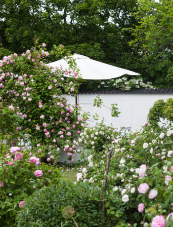 Besöksträdgård i Mälardalen